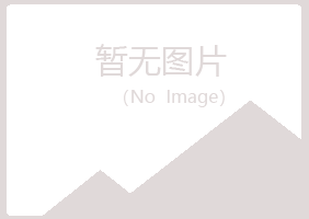 那曲县夏岚采矿有限公司